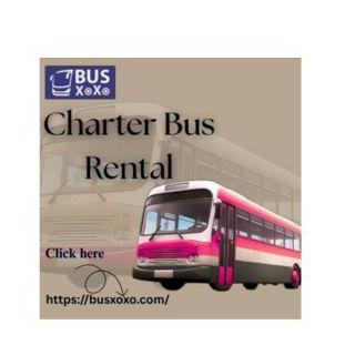 Busxoxo Service