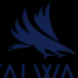 Stalwart International