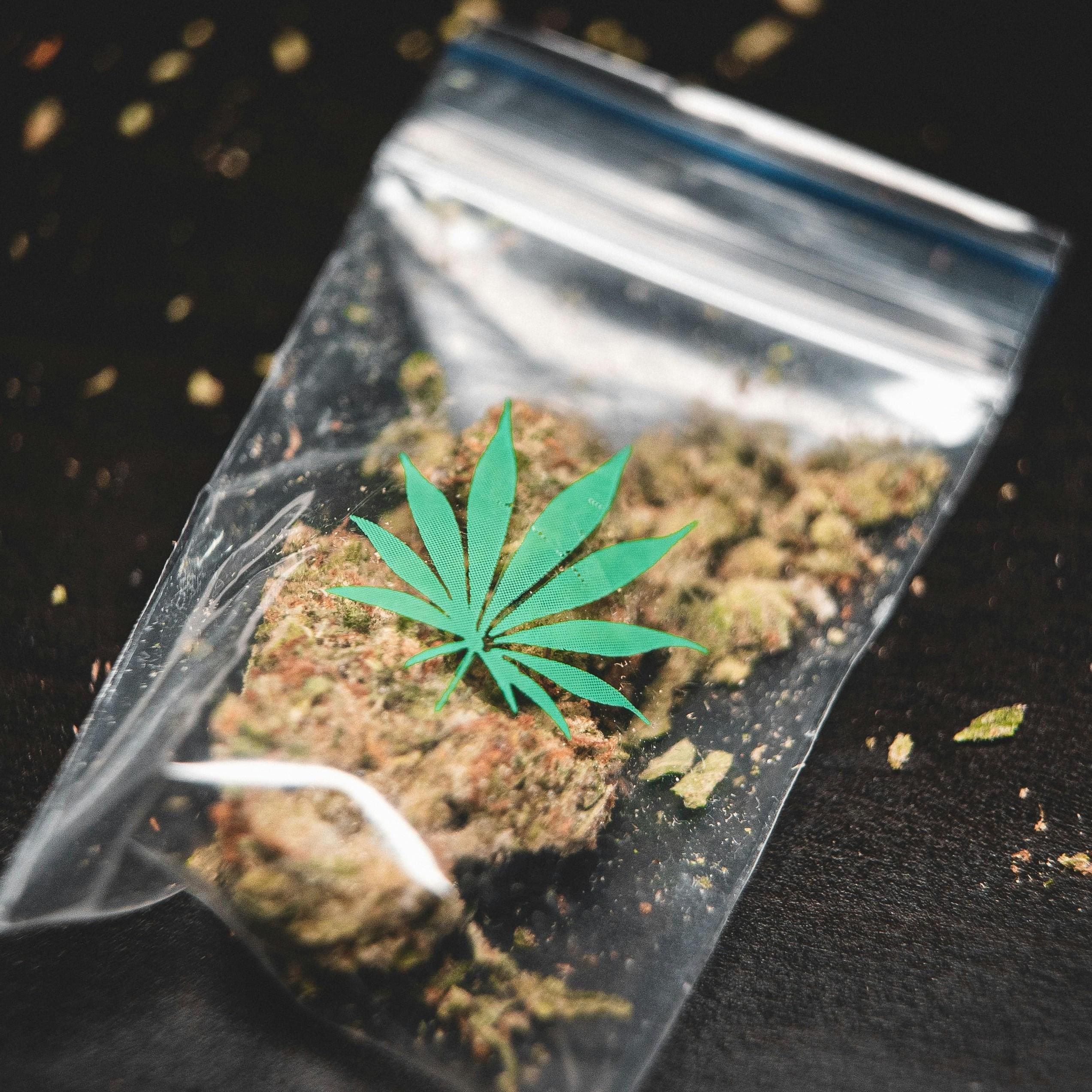 Iowa  Iowa Marijuana 