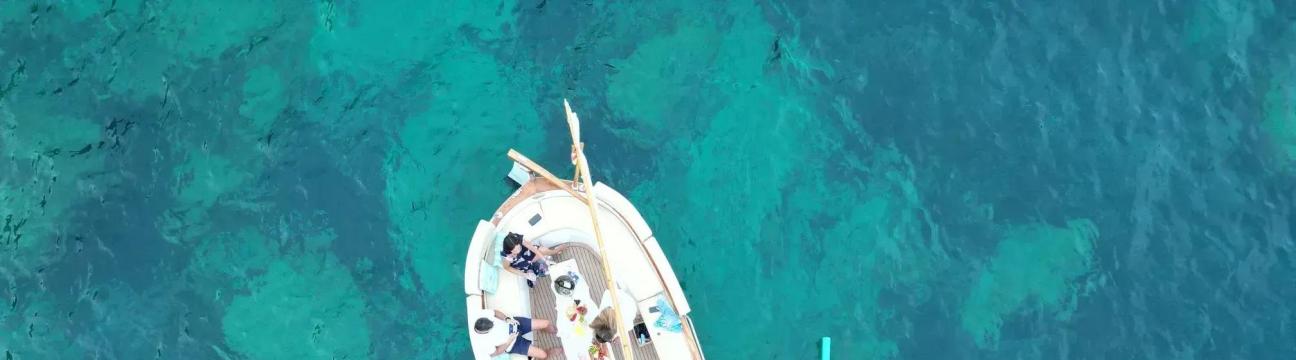 Elysium Eco Boat Experience