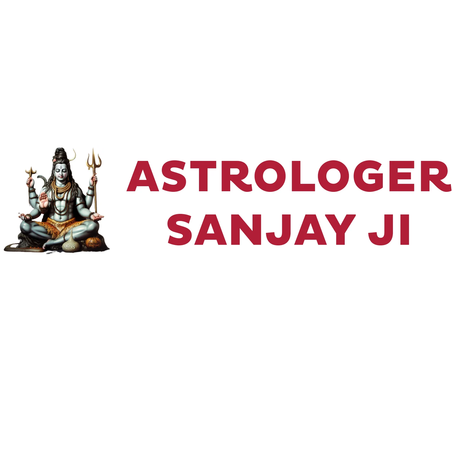 Sanjay Bhargav